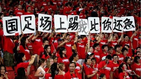 国足中场爆料视频回放,爆料视频背后的真相与反思